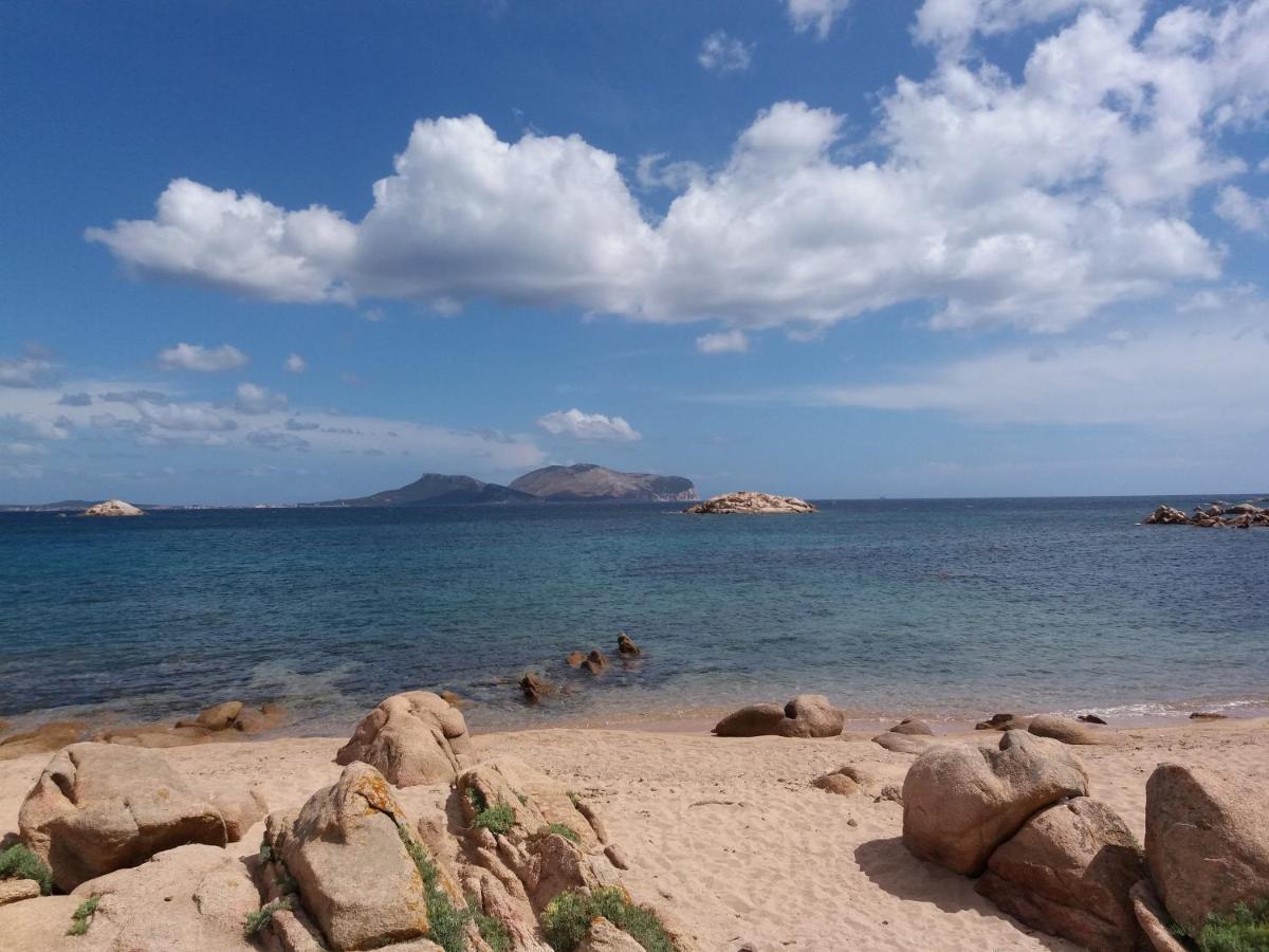 I Due Ciuchini Sardinia Lejlighed Sassari Eksteriør billede